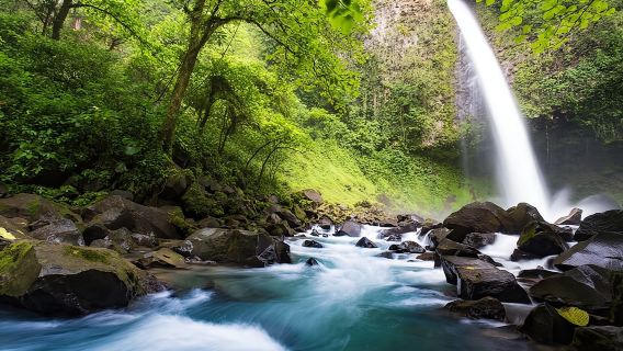Arenal : Suspension Bridges + Hot Springs + Falls from San Jose