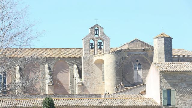 Private tour to Sete, an oyster farm & Wine Tasting
