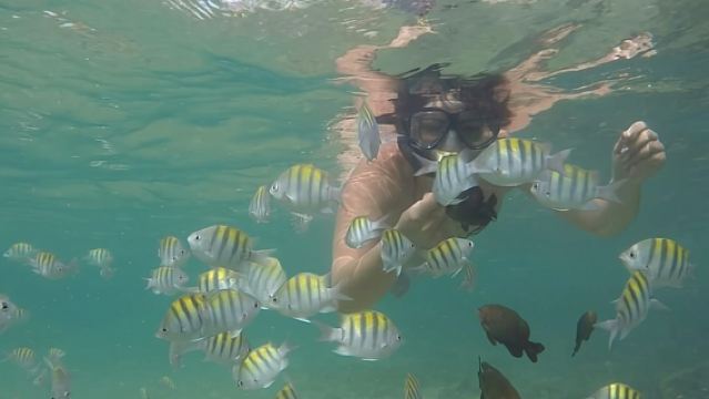 ทัวร์ปกติไปยังหาดฟอร์เต - ออกจากซัลวาดอร์โดย Bahia Top Turismo