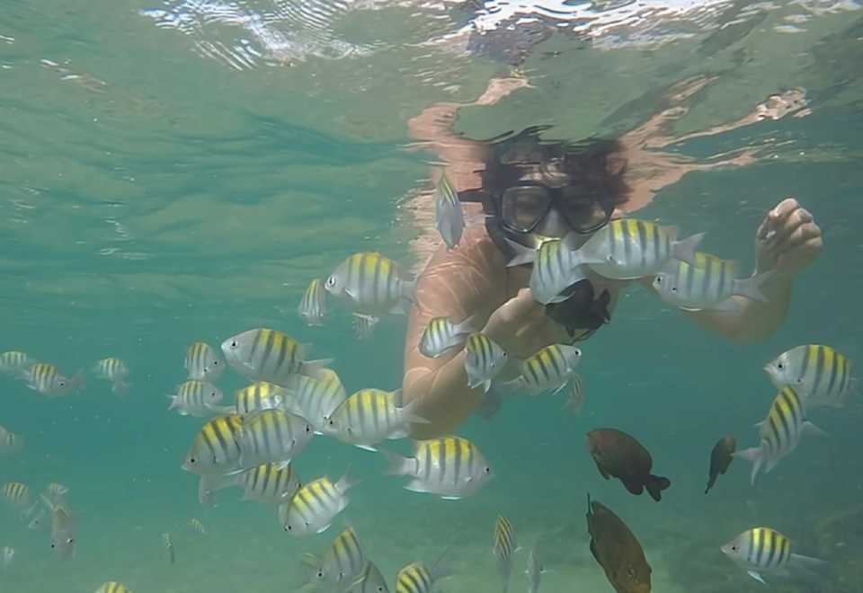 Regular Tour to Forte Beach - Leaving Salvador by Bahia Top Turismo Regular Tour to Forte Beach - Leaving Salvador by Bahia Top Turismo