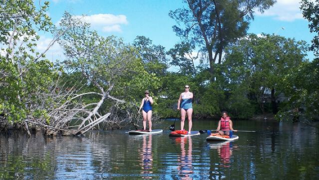 Island City ECO Paddle e Lezione nella Riserva Naturale di 9,3 Acri