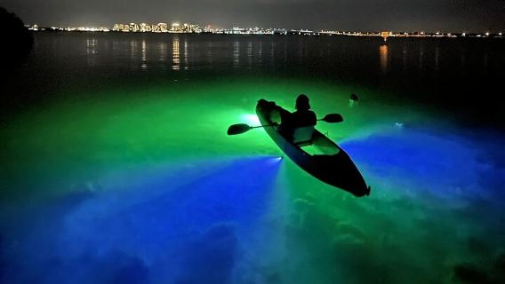 Sarasota: Nachttour mit Glasboden-Kajak und Fischfütterung