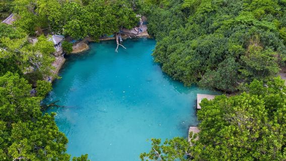 Port Vila: Blaue Lagune, Eden on the River & Schildkröten-Tour