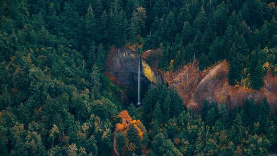 Portland : vol panoramique au-dessus des chutes de Multnomah