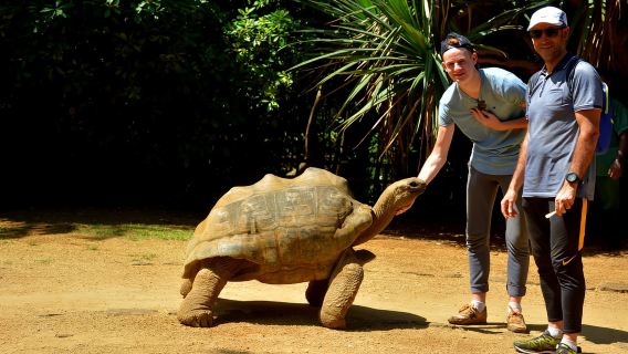 Mauritius: Full-Day Quad Bike Tour with Lunch