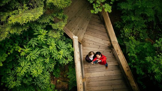 Ванкувер: билет в парк «Подвесной мост Капилано»