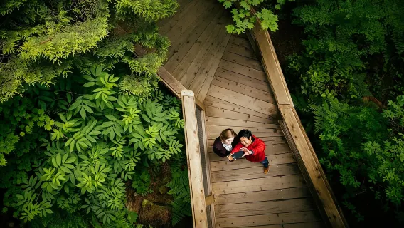 Vancouver: Vé tham quan Công viên Cầu treo Capilano