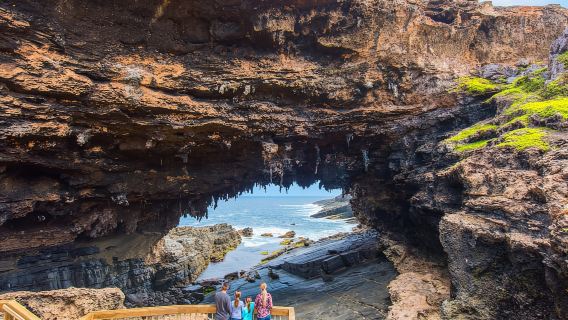 From Penneshaw: Kangaroo Island Sights and Wildlife Tour