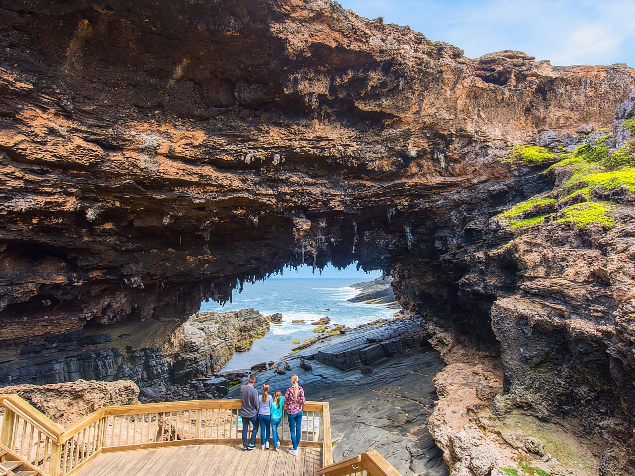 Desde Penneshaw: Recorrido por la vida silvestre y las vistas de la Isla Canguro