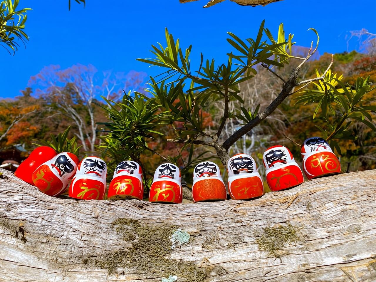 Osaka: Minoh, Katsuoji Temple, & Minoh Falls Full-day Tour