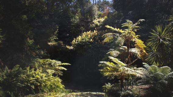 ทัวร์วันเต็มที่ซิงตราพร้อมบริการรับที่ลิสบอน