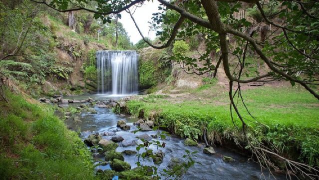 Auckland Waterfall Tour
