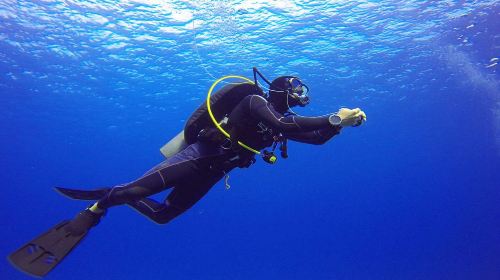 Dubai ScubaDive.ae + Jumeirah Beach diving experience scuba diving 0.5h [Dubai scuba diving experience] 8