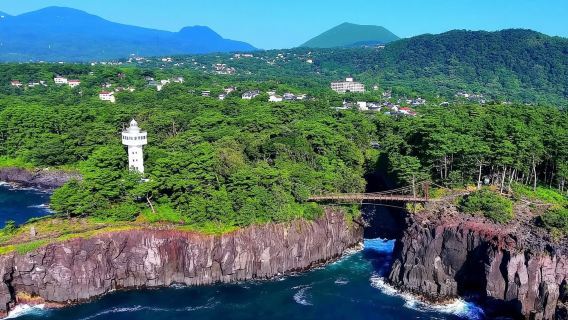 日本東京伊豆大室山＋伊豆仙人掌動物園＋城崎海岸一日遊
