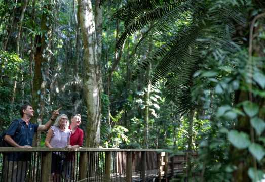 In-depth Tour: Cairns Daintree Rainforest + Cape Tribulation + Mossman Gorge Cultural Centre + Crocodile Cruise 1-day Tour AUD 205.2