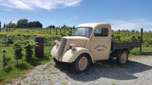 紐西蘭-瓦卡納+孤獨樹+羅伊山徒步+迷宮世界+葡萄酒莊一日遊