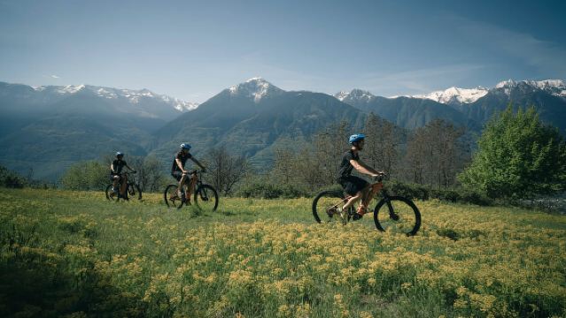 E-Bike Wine Tour with Indomita