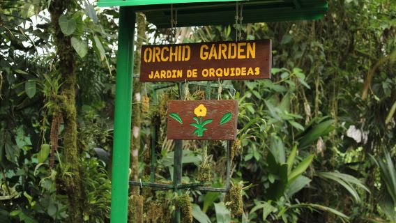 Braulio Carrillo: Half-Day Aerial Tram Rainforest Tour