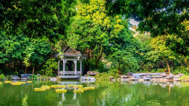 전문 가이드 서비스 | 항저우/후저우/자싱/닝보/원저우/저우산 | 여행 동반 - [중국어|영어|한국어|일본어|독일어|프랑스어|이탈리아어]