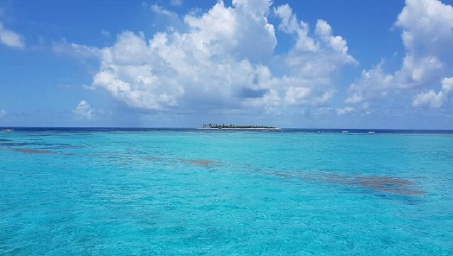 Saona Island Catamaran and Speed Boat