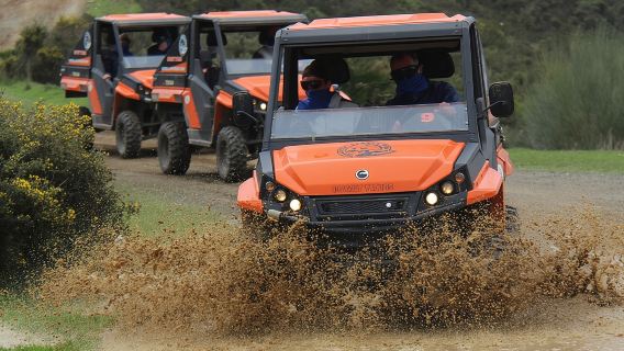 Buggy Adventure with Incredible Views of the Sea and the Reservoir