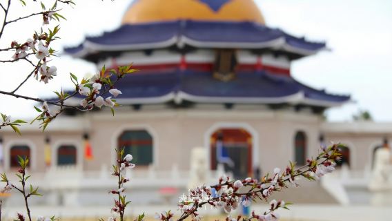 達拉特旗日遊