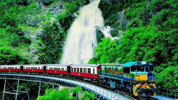 Excursion d'une journée au parc national et village de la forêt tropicale de Cairns Kuranda (câlins de koala ou déjeuner en option)