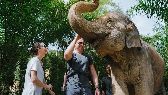 excursión de un día al Santuario de Elefantes Kanta de Chiang Mai: Campamento interactivo de conservación de elefantes para padres e hijos