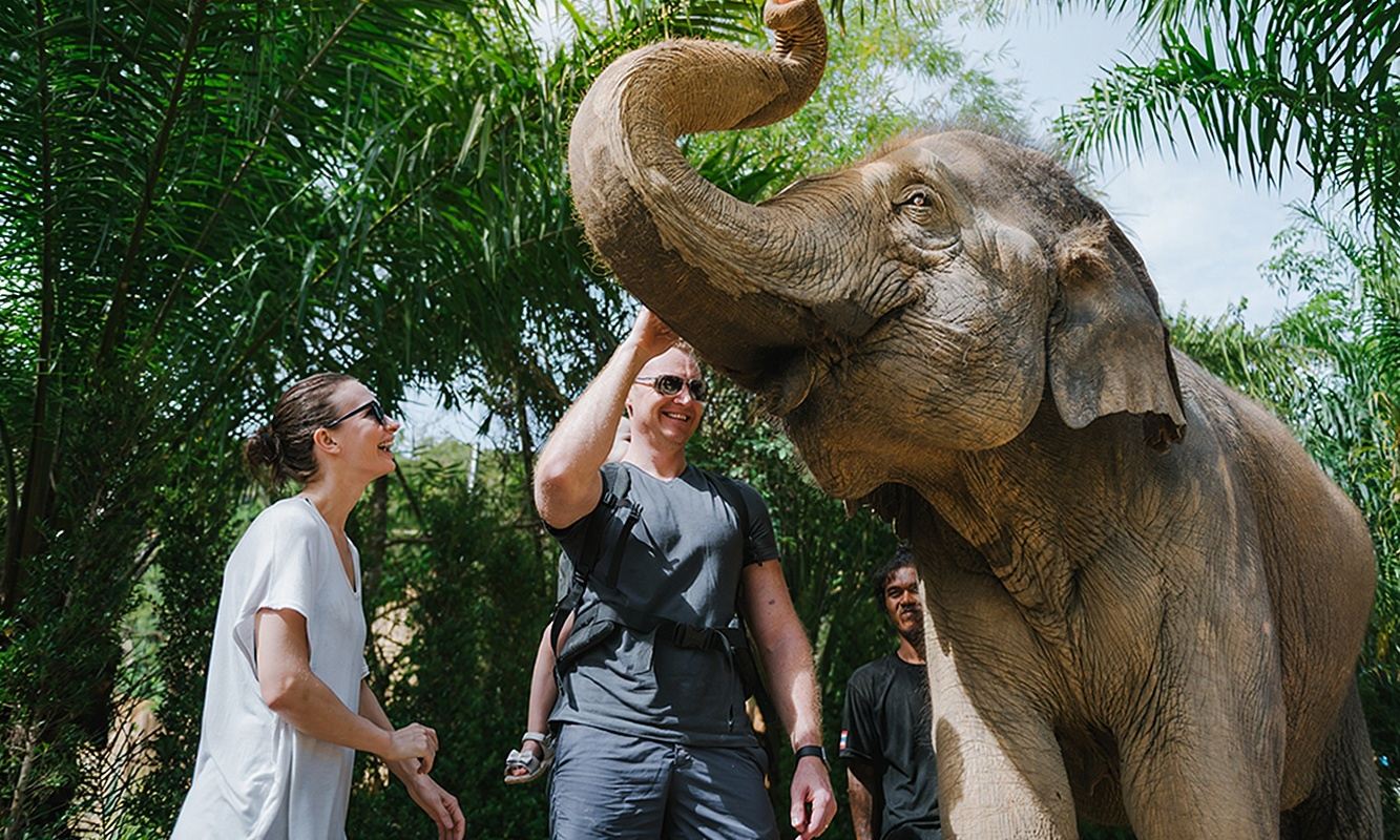 치앙마이 칸타 코끼리 보호구역 당일 치기 여행 가족과 함께하는 코끼리 보호 캠프
