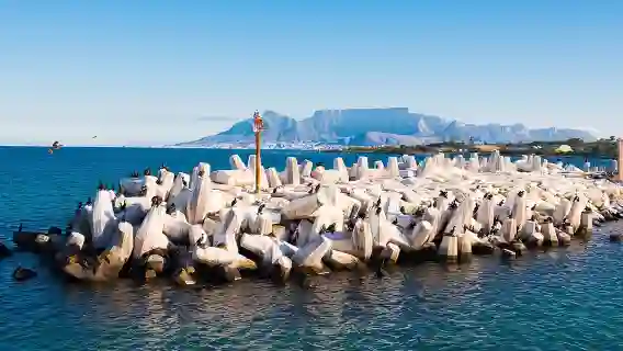 Robben Island Tour; Pickup, Drop-off; Guided Tour Historic Prison
