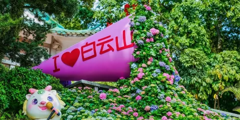 廣州白雲山+越秀公園+陳家祠+沙面+珠江夜遊一日遊