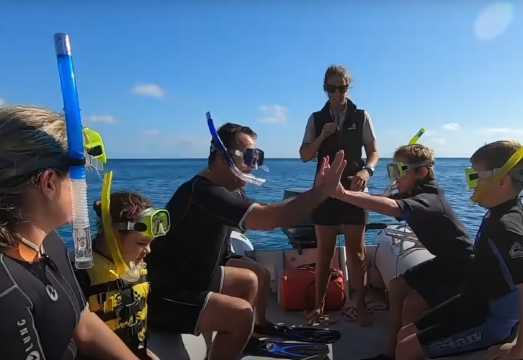 Whitsundays Half-Day Snorkeling Tour with Equipment (Departing from Hamilton Island) AUD 208.89