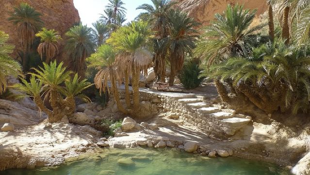 Half-day excursion the mountain oases from Tozeur
