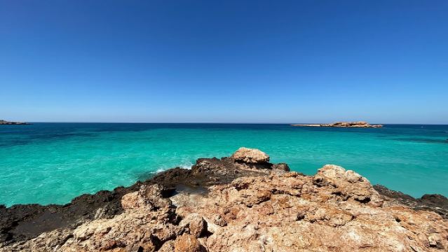 Snorkel en las Islas Dimaniyat y avistamiento de delfines (medio día)
