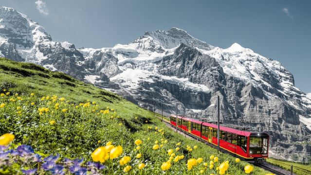 Jungfraujoch: Tagesausflug zum Jungfraujoch Sphinx Observatory ab Zürich