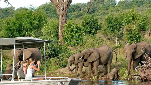 Chobe Safari Day Trip From Livingstone