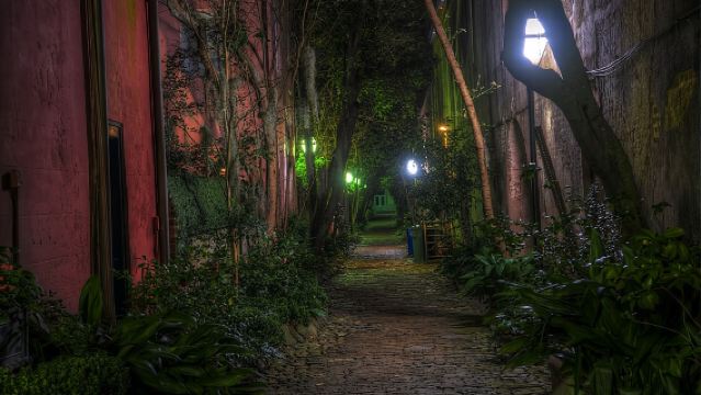 查爾斯頓自由之魂導覽步行團