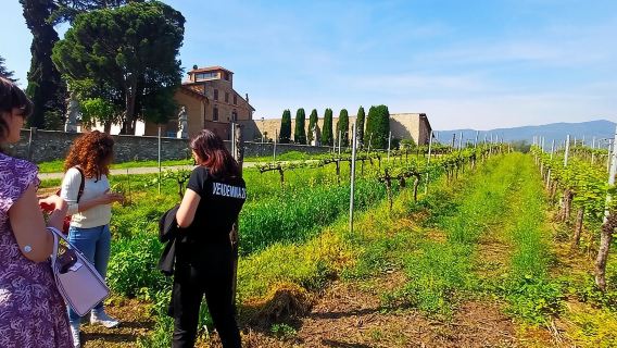 tour di un giorno al Lago d'Iseo e alla Strada del Vino in Italia|Include crociera+ visita alla cantina e degustazione di vini