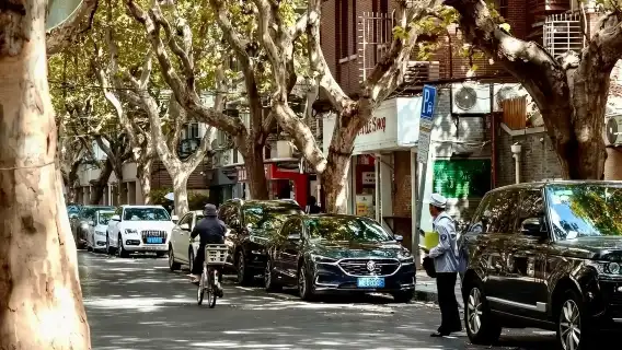 法租界步行與咖啡之旅(田子坊、思南公館、小巷、法國公園)