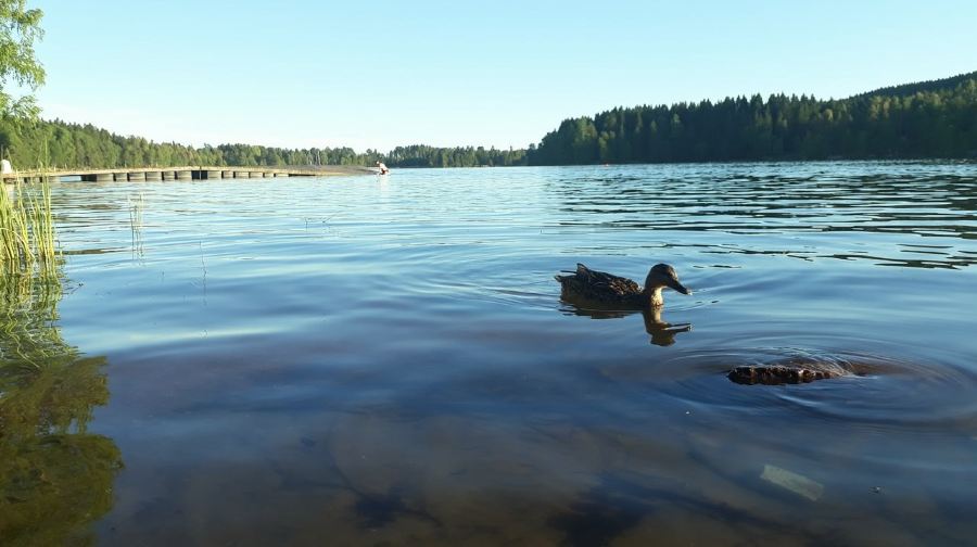 挪威松恩縮影：卑爾根/奧斯陸來回【套票形式，自助旅行】