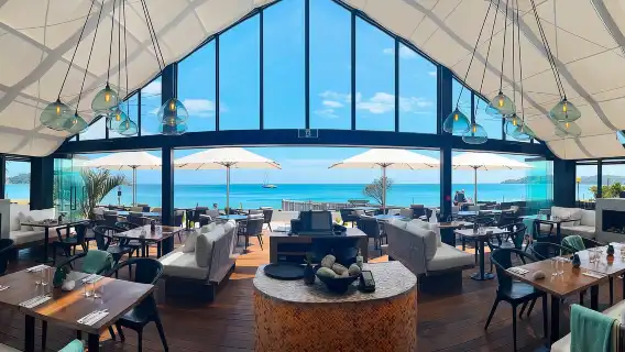 เกาะไวเฮเกะ: ทัวร์ไวน์ยามบ่ายพร้อมอาหารกลางวันริมทะเล