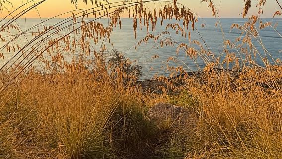 Sferracavallo: Escursione al tramonto e bagno con aperitivo e trasferimento