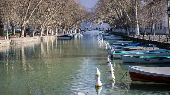 アヌシー：プライベートガイドツアー - 「アルプスのヴェネツィア」を発見