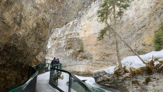 Lago Louise, Lago Peyto, Johnston Canyon e Icefields Parkway