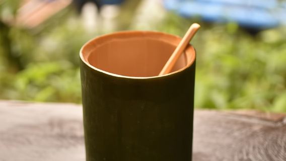 Übernachtungspaket im Treehouse Resort mit Aktivitäten