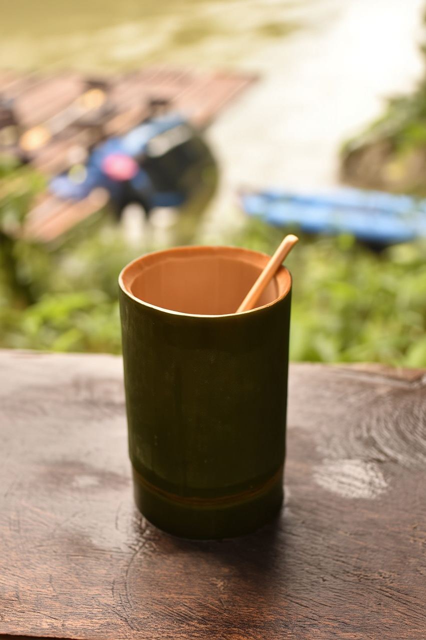 Overnight package stay at Treehouse resort with activities