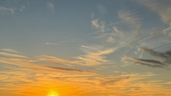 Albufera Valencia: Guided electric boat ride, also at sunset