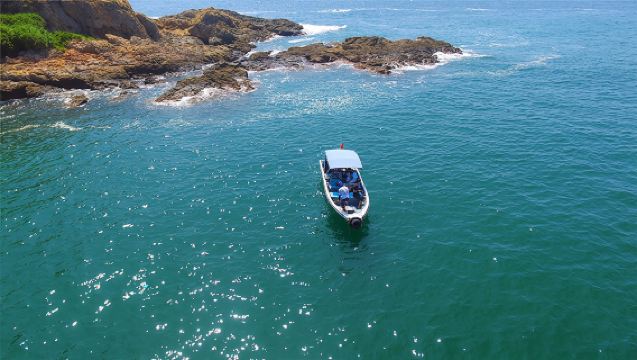 私家小團｜巽寮灣快艇出海海釣+捕魚+沙灘燒烤煙花半日遊