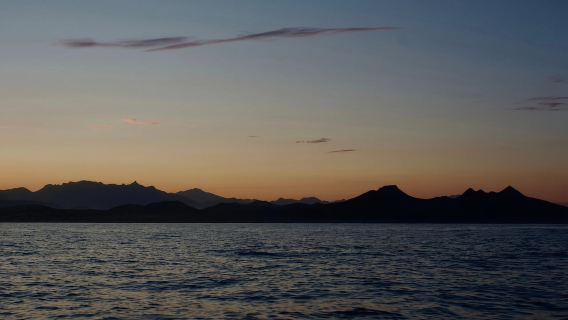 Croisière au coucher du soleil à San José del Cabo