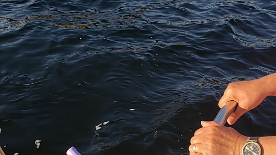 Río de Janeiro: Paseo en velero al atardecer con aperitivos y bebidas